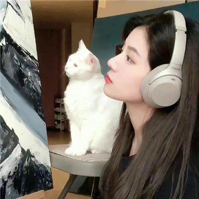玉拳艳舞